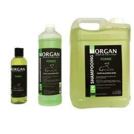 Shampooing Pomme Disponible En 250Ml, 1L Et 5L