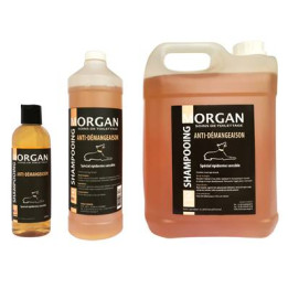 Shampooing Anti-Démangeaison Disponible En 250Ml, 1L Et 5L
