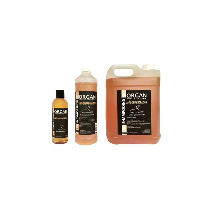 Shampooing Anti-Démangeaison Disponible En 250Ml, 1L Et 5L
