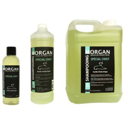 Shampooing Chiot À L'huile D'argan Disponible En 250Ml, 1L Et 5L