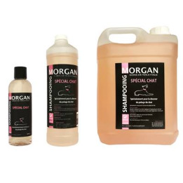 Shampooing Spécial Chat Disponible En 250Ml, 1L Et 5L