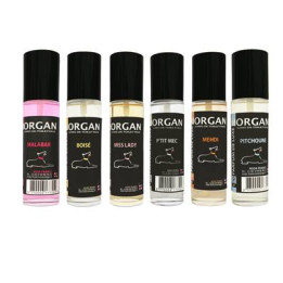 Parfum De Luxe Morgan Plusieurs Senteurs Disponibles