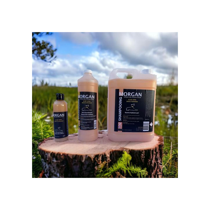 Shampooing Aloe Vera Bois D' Disponible En 250Ml, 1L Et 5L