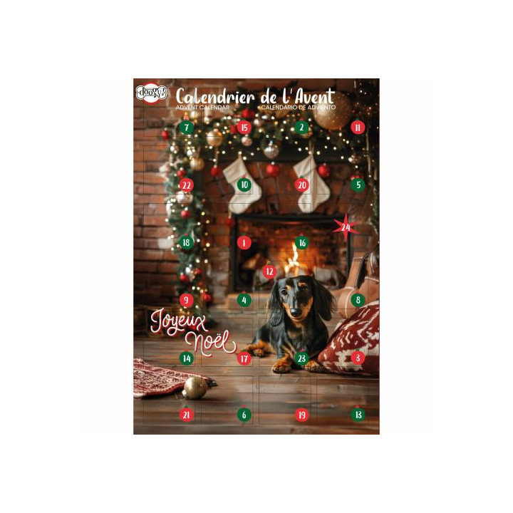 Calendrier De L Avent Noel Pour Chien Doogy - Asst Biscuits 168Gr