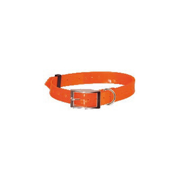 Collier fluo plein air