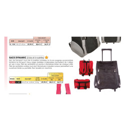Sac de transport Dynamic à roulettes
