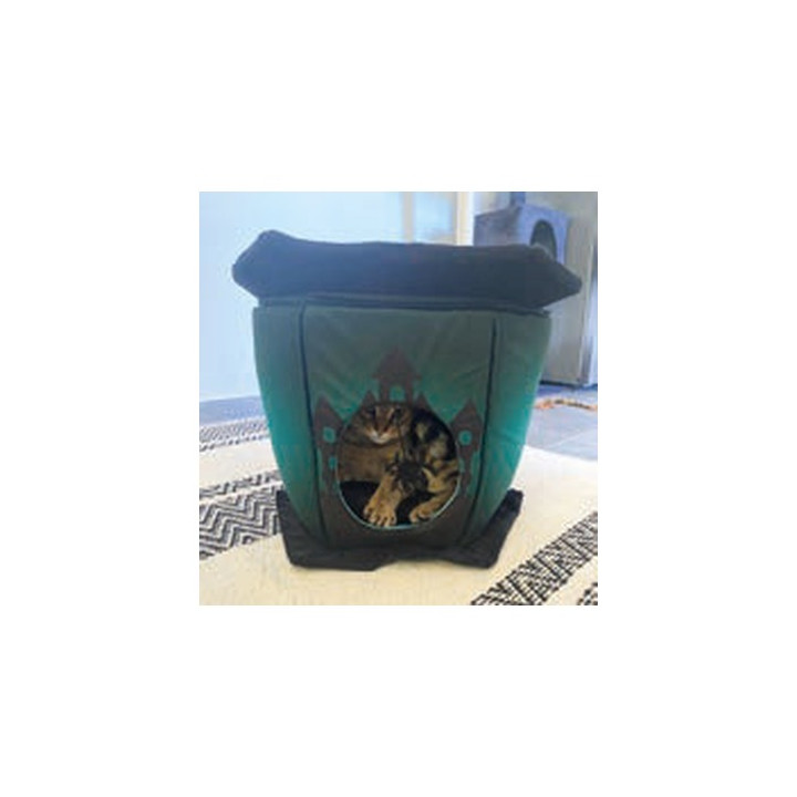 Manoir hanté pour chat