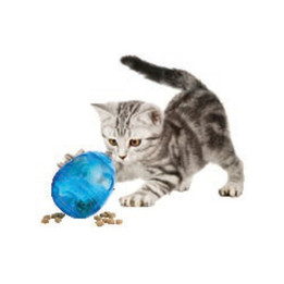 Funkitty Egg