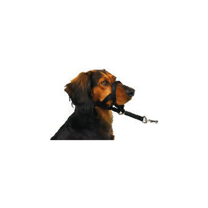 LICOLS DOOGY