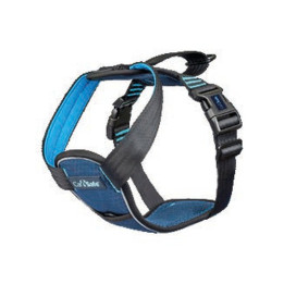 HARNAIS CARSAFE COLLISION BLEU
