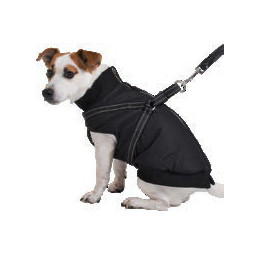 Manteau Bomber avec harnais intégré pour chien