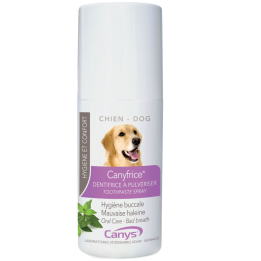 Canyfrice Canys
