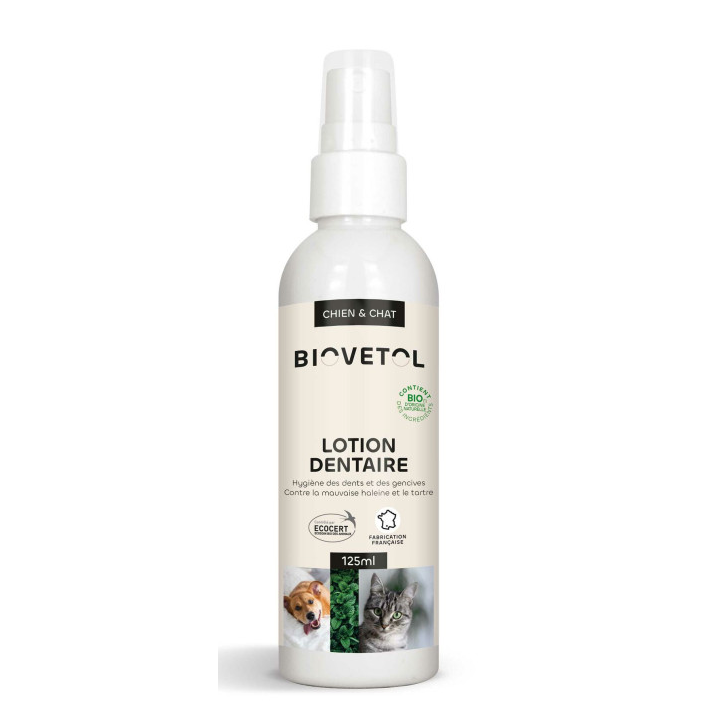 Lotion Dentaire