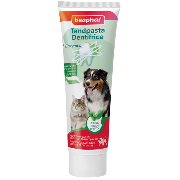 Dentifrice menthe et persil pour chien et chat