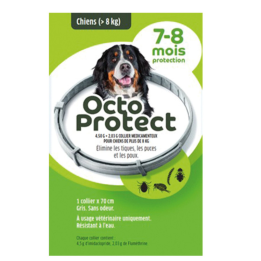 Collier OCTOPROTECT grand chien 1 collier