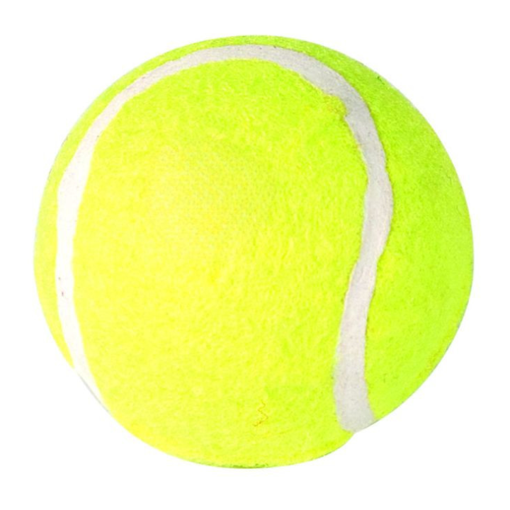 Balle de tennis Idealdog pour chien