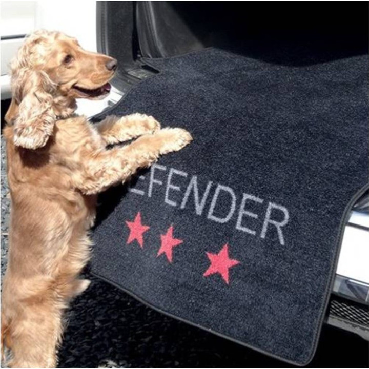 Couverture de protection voiture pour chien