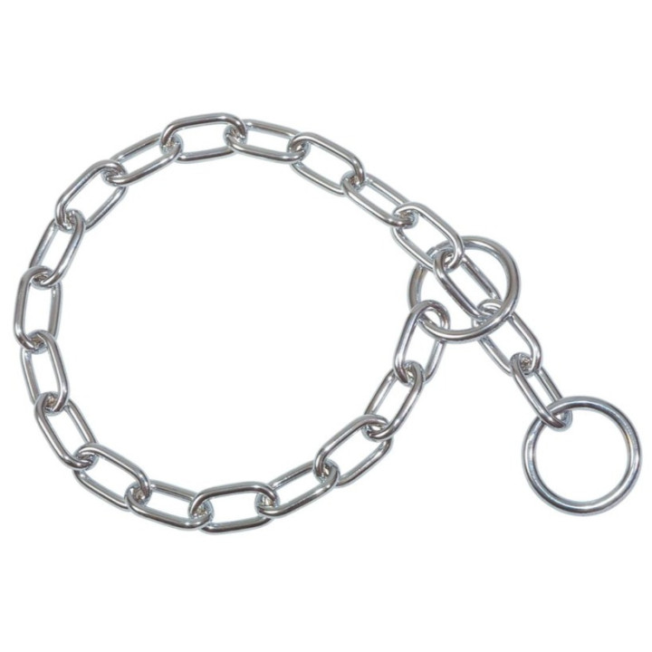 Collier en acier chromé pour chien