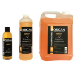 Shampooing protéiné pour chien