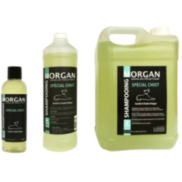 Shampooing chiot à l'huile d'Argan