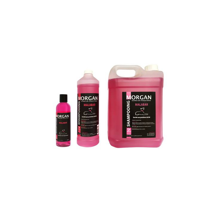 Shampooing Malabar